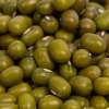 Organic Mung Bean Sprouting Seeds by Patriot Seeds (4 ounces)